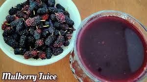 Mulberry Juice